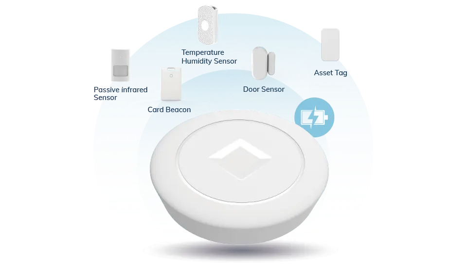 MG4 Smart Rechargeable Gateway