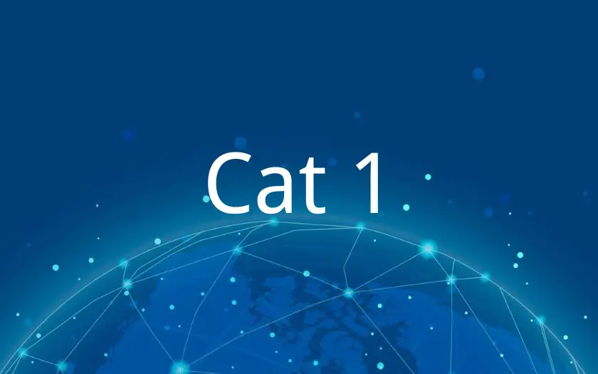 cat 1