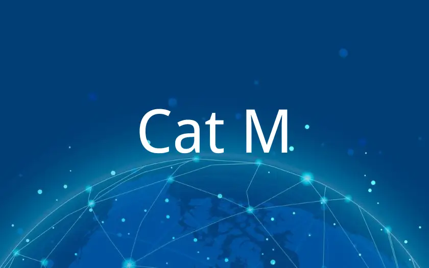 cat m