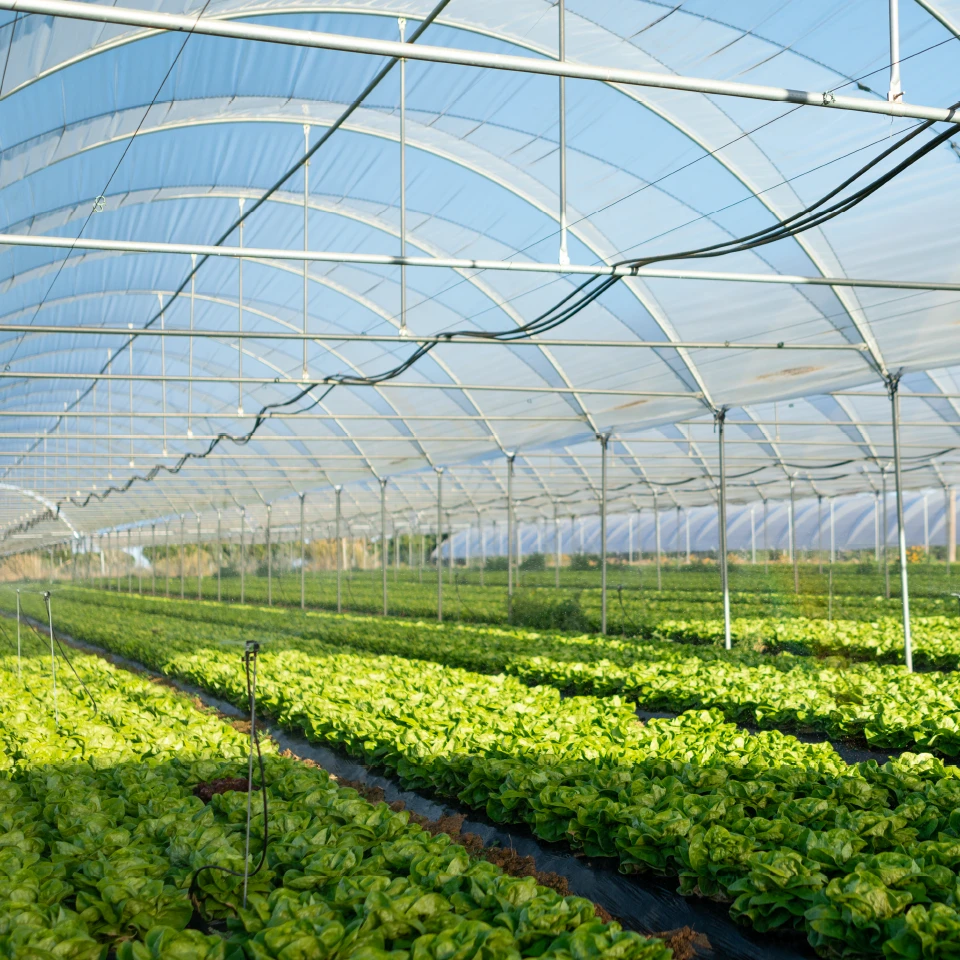 Smart Agriculture Greenhouses