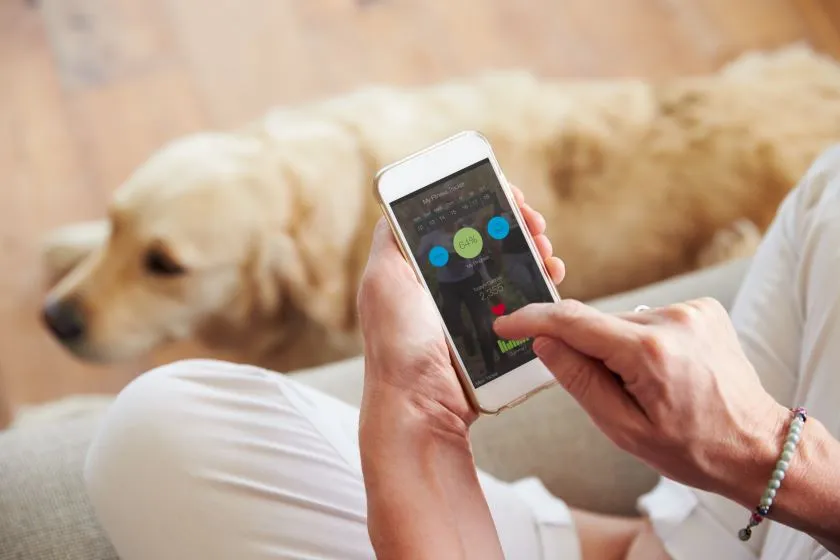 IoT Applications for Pets Tracking Devices